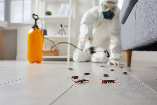Trusted Cockroach Control service in Bucyrus, OH - Nex Pest Control